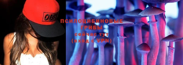 спайс Баксан
