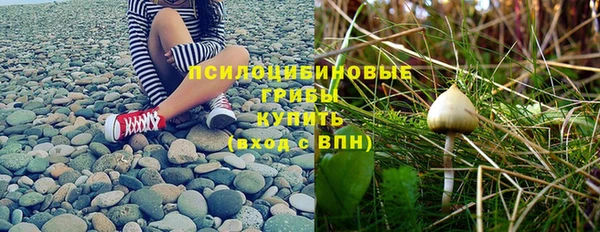 спайс Баксан