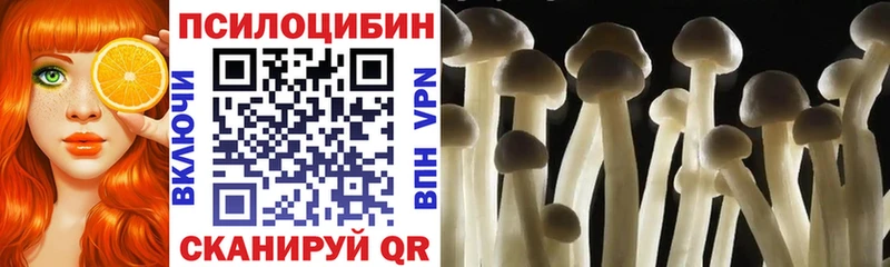 Галлюциногенные грибы Magic Shrooms гидра сайт Верещагино